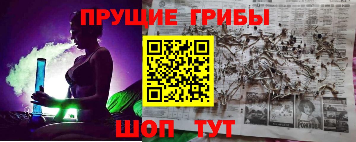 Галлюциногенные грибы Magic Shrooms Волгоград