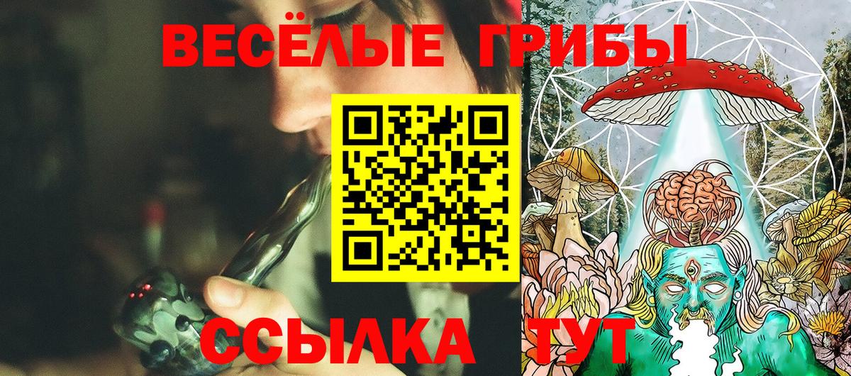 Волгоград  Псилоцибиновые грибы мухоморы  Вход с VPN 